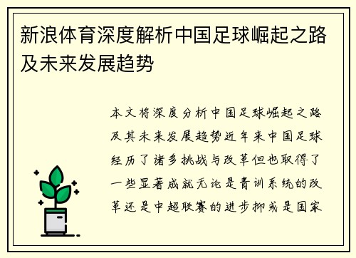 新浪体育深度解析中国足球崛起之路及未来发展趋势